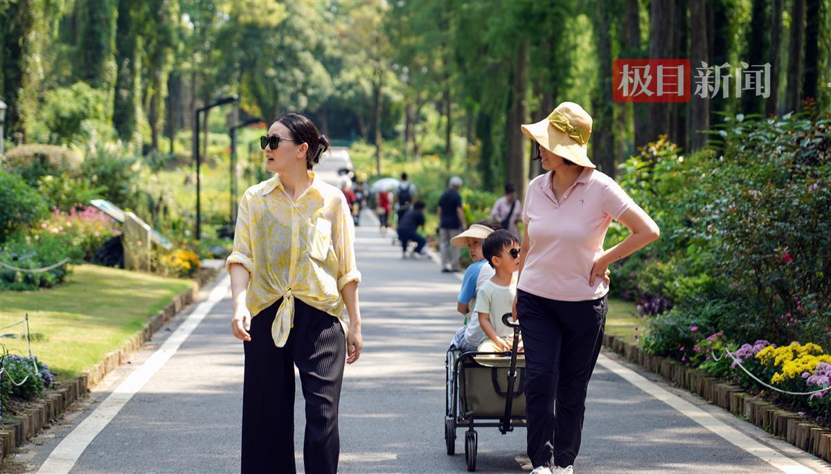 fg电子怎么玩